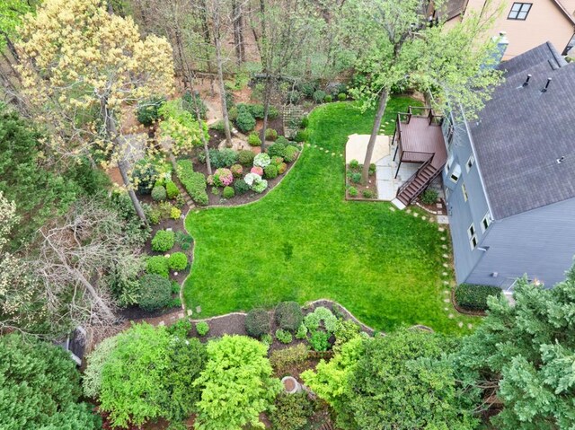 aerial view