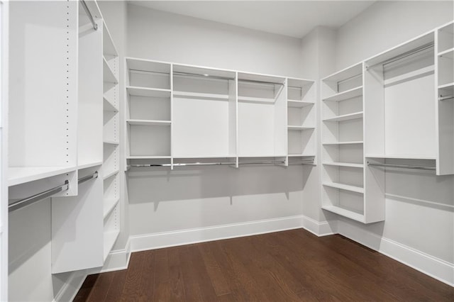 walk in closet with dark wood-style flooring