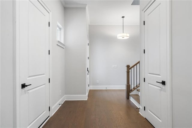 hall with crown molding, stairs, baseboards, and dark wood-type flooring