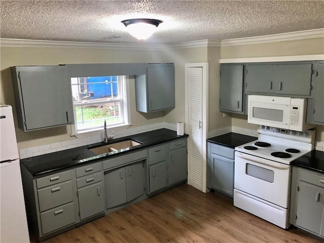 116 Nation Dr, Calhoun, GA 30701 - kitchen with sink, gray cabinetry, crown molding, dark wood-type flooring, and white appliances