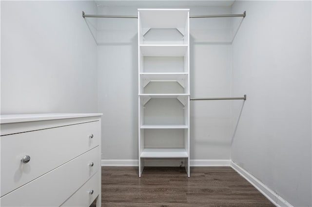 spacious closet with dark hardwood / wood-style floors