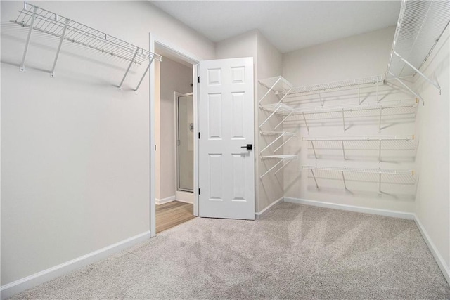 walk in closet with carpet