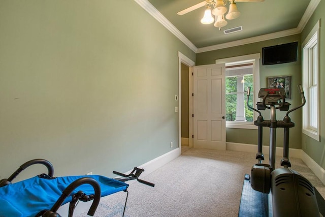 exercise area with ornamental molding, carpet, and ceiling fan