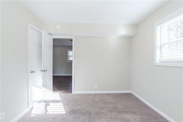 4412 Rustic Wood Dr, Stone Mountain, GA 30083 - spare room with carpet flooring and a healthy amount of sunlight