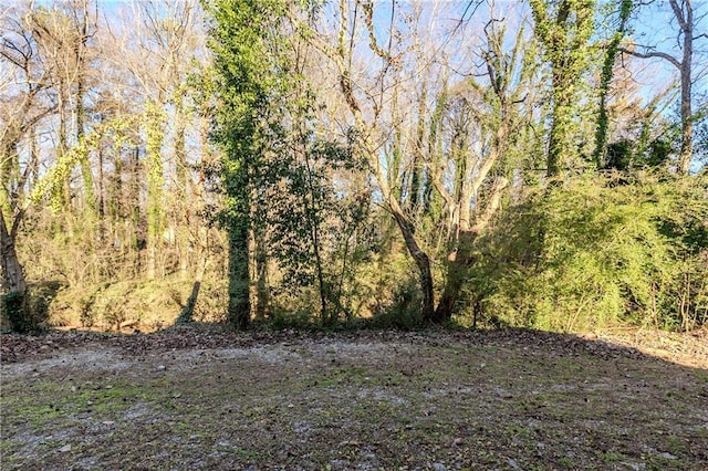 4412 Rustic Wood Dr, Stone Mountain, GA 30083 - view of local wilderness