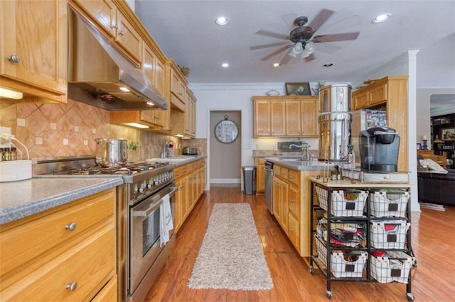 kitchen with light hardwood / wood-style flooring, appliances with stainless steel finishes, crown molding, and ceiling fan