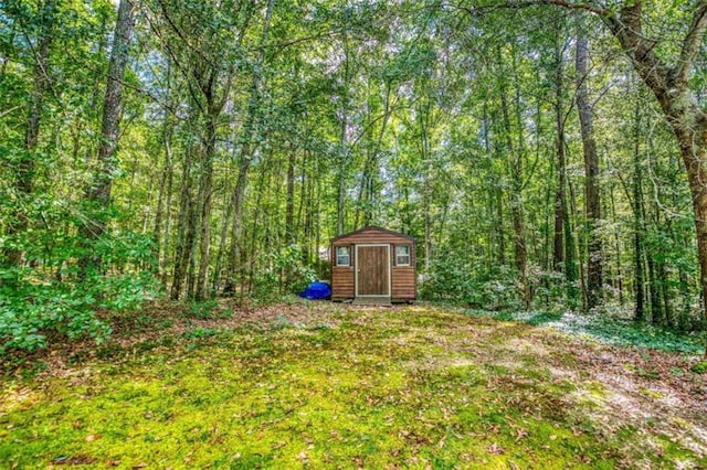 view of yard with a storage unit