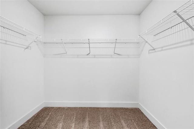 walk in closet with carpet