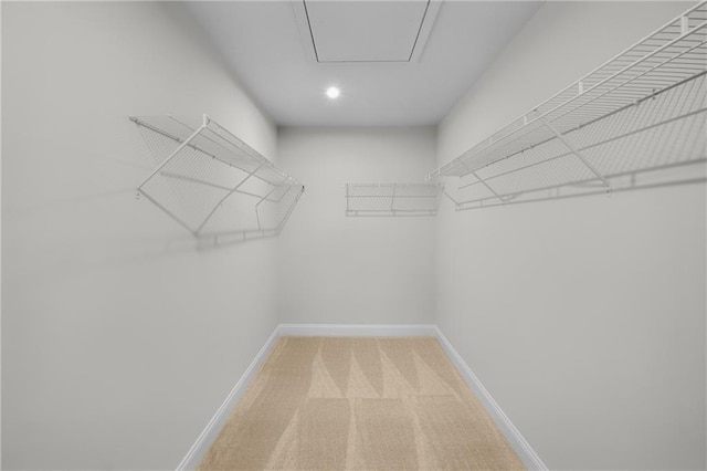 spacious closet featuring light carpet