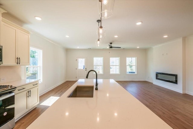 kitchen with appliances with stainless steel finishes, wood finished floors, a sink, and a glass covered fireplace