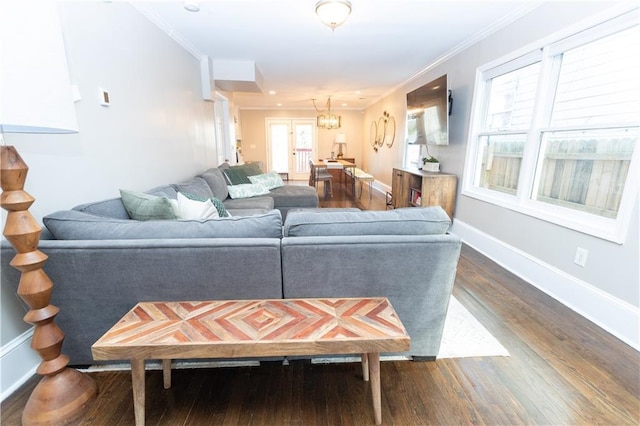 living area featuring baseboards, dark wood-type flooring, and crown molding