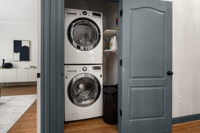 spacious closet featuring wood finished floors