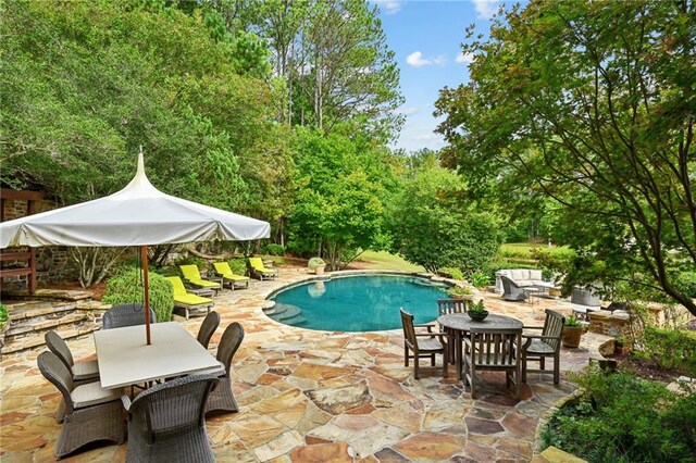 view of pool with a patio