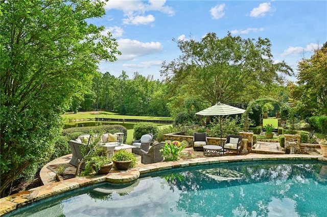 view of swimming pool featuring a patio area