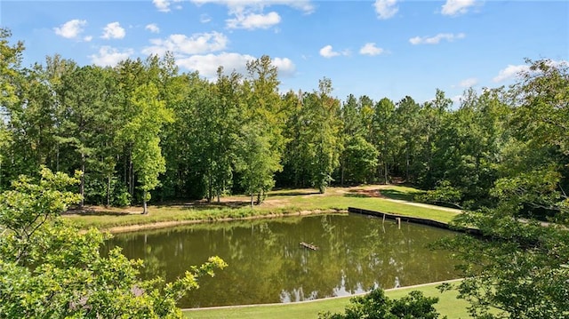 view of property's community featuring a water view