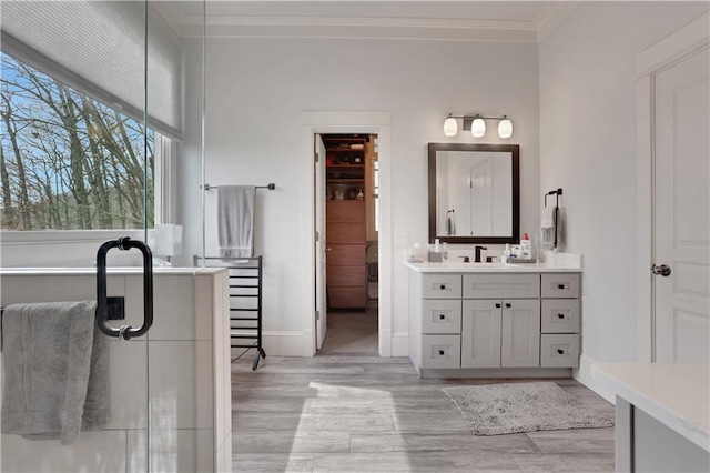 79 Strawberry Way, Jasper, GA 30143 - full bathroom with ornamental molding, vanity, and wood finished floors