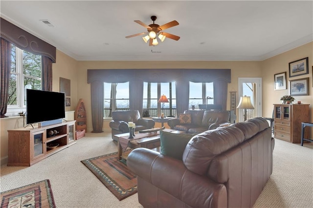 79 Strawberry Way, Jasper, GA 30143 - carpeted living area with ceiling fan and crown molding