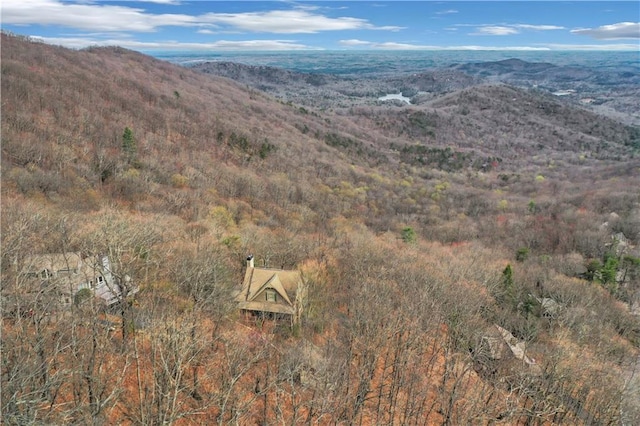 79 Strawberry Way, Jasper, GA 30143 - drone / aerial view of mountains