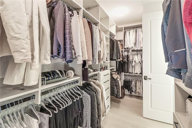 walk in closet featuring light hardwood / wood-style floors