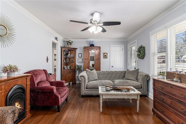 living area with dark wood-style floors, a warm lit fireplace, crown molding, and a ceiling fan