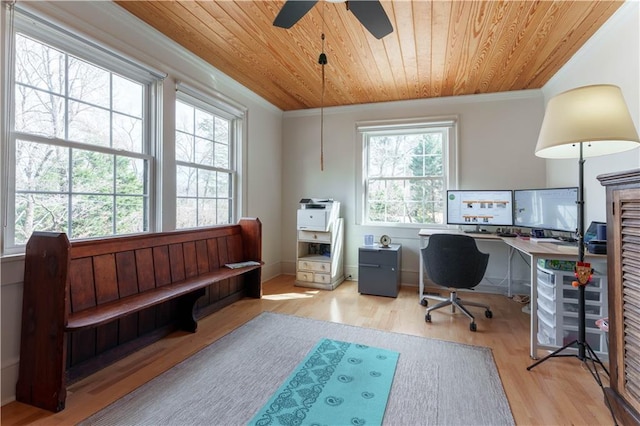 office featuring wooden ceiling, crown molding, and wood finished floors