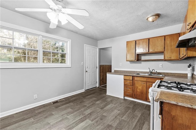 kitchen featuring sink, a textured ceiling, ceiling fan, dark hardwood / wood-style floors, and white range with gas stovetop