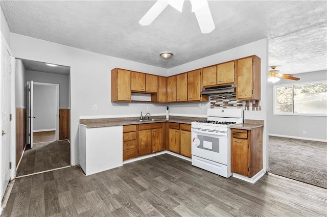 kitchen featuring sink, a textured ceiling, white gas range, ceiling fan, and dark wood-type flooring