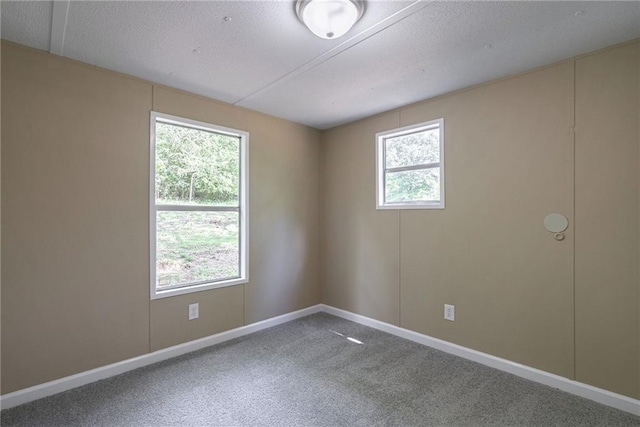 carpeted empty room featuring plenty of natural light and a textured ceiling