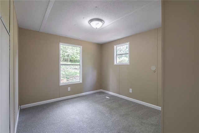 carpeted spare room with plenty of natural light and a textured ceiling