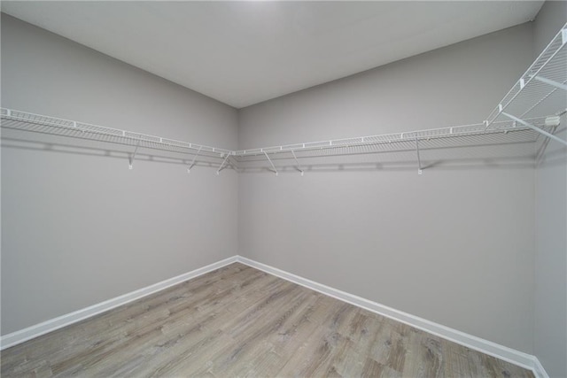 walk in closet with wood finished floors