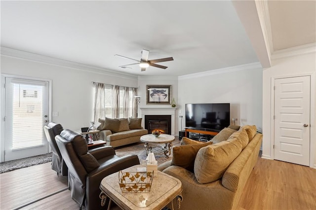 living room featuring ceiling fan, ornamental molding, and light hardwood / wood-style flooring