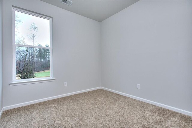 spare room with carpet floors and a wealth of natural light