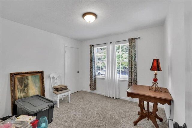 6863 Recreation Ln, Acworth, GA 30102 - living area with light colored carpet and a textured ceiling