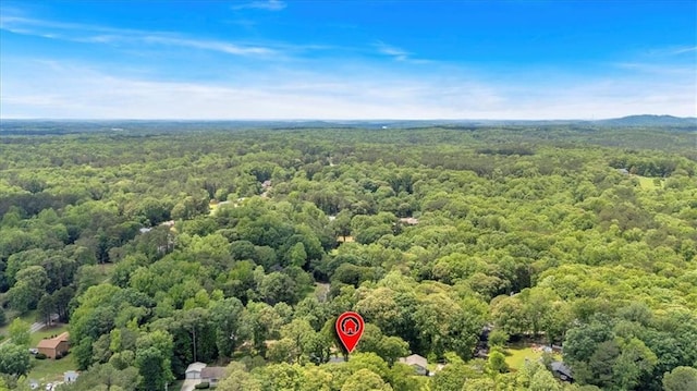 6863 Recreation Ln, Acworth, GA 30102 - bird's eye view of a forest