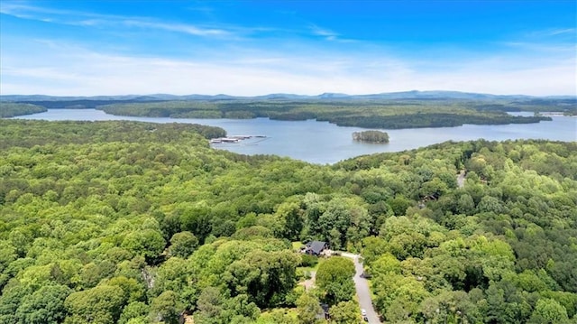 6863 Recreation Ln, Acworth, GA 30102 - aerial view of a heavily wooded area and a water and mountain view