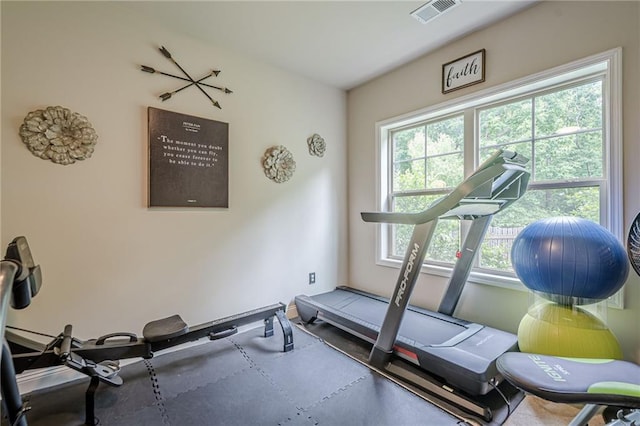 285 Turtle Rock Pl, Acworth, GA 30101 - view of workout area