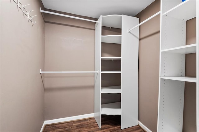 spacious closet featuring dark wood-type flooring