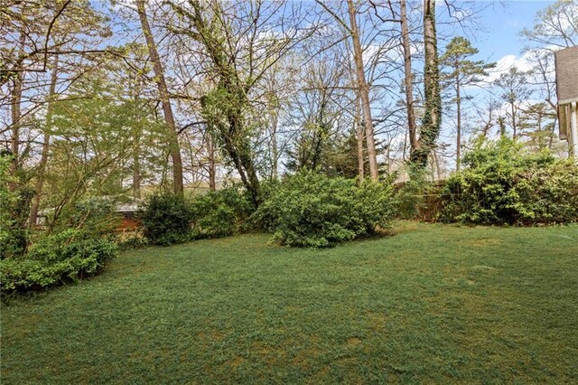 599 Daniel Ave, Decatur, GA 30032 - view of yard