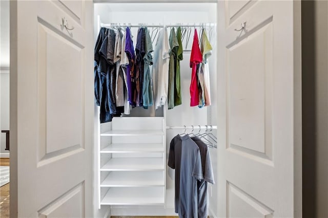 view of closet