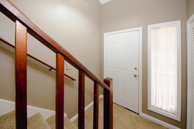 stairs with carpet flooring