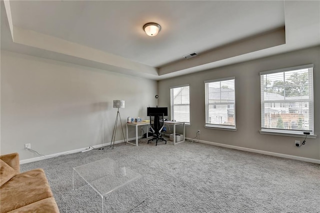 2719 Hedgeway Cir, Kennesaw, GA 30144 - carpeted home office with a raised ceiling and baseboards