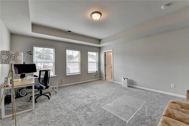 2719 Hedgeway Cir, Kennesaw, GA 30144 - office featuring carpet and a tray ceiling