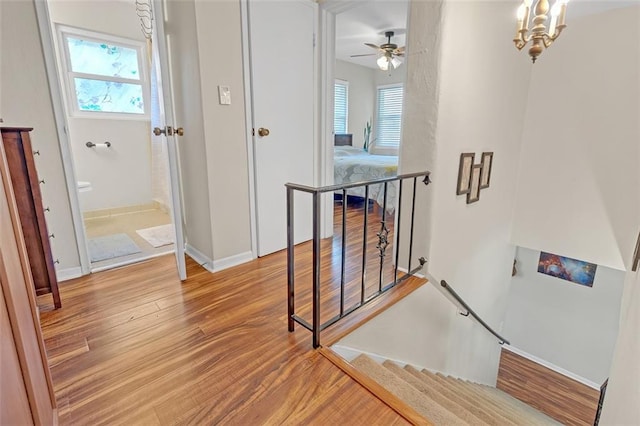 stairway featuring ceiling fan with notable chandelier and hardwood / wood-style flooring