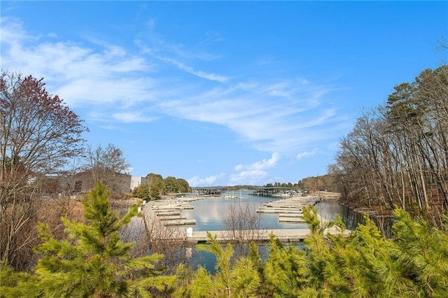 6350 Old Wood Hollow Way, Buford, GA 30518 - water view
