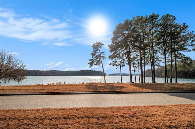 6350 Old Wood Hollow Way, Buford, GA 30518 - water view