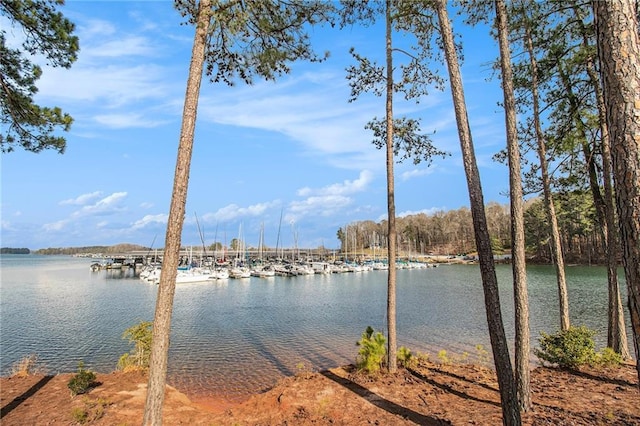6350 Old Wood Hollow Way, Buford, GA 30518 - water view