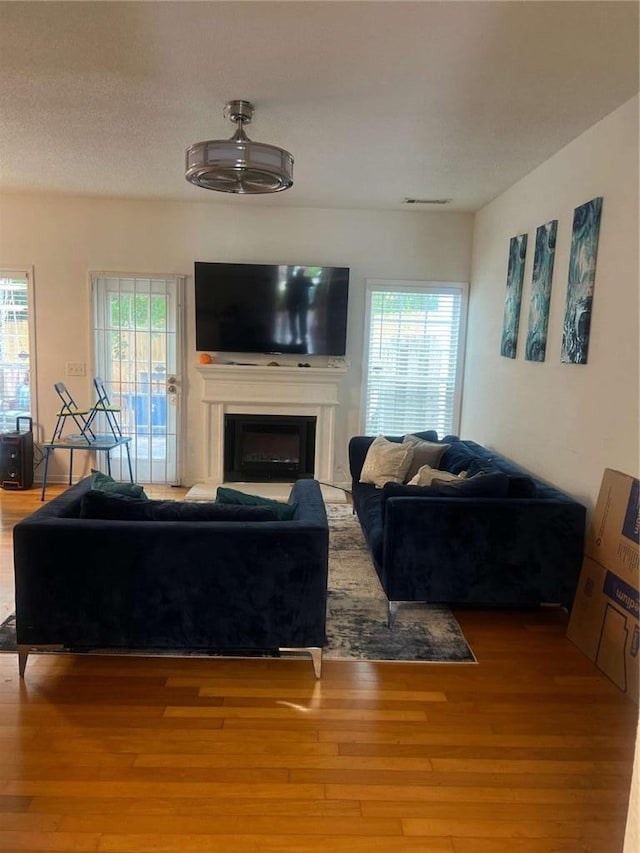 116 Madeline Ct, Mcdonough, GA 30253 - living area with a fireplace, healthy amount of natural light, and wood finished floors