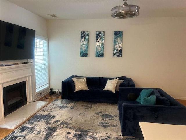 116 Madeline Ct, Mcdonough, GA 30253 - living room with wood finished floors and a glass covered fireplace