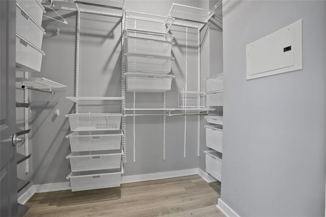 spacious closet with light wood-type flooring