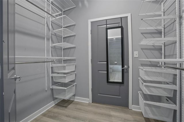 walk in closet featuring hardwood / wood-style flooring